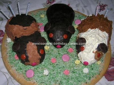 coolest-guinea-pig-cake-3-21131245